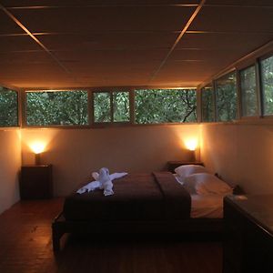 Suite River View